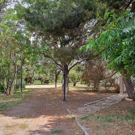 El.Paraiso, Torrevieja Exterior foto